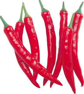 Red chili pepper PNG image-3256